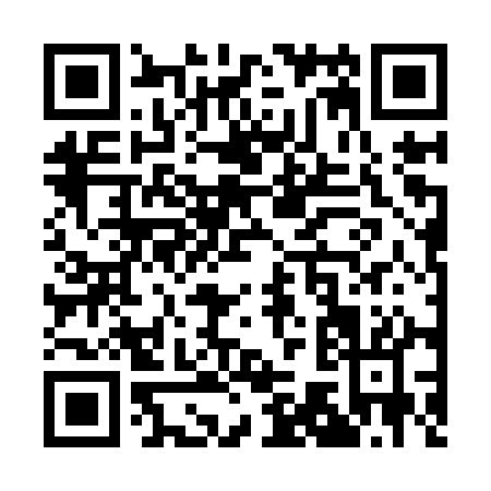 QR code for Q729Q
