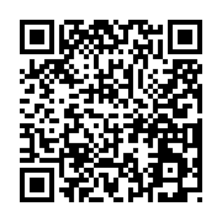 QR code for Q738N