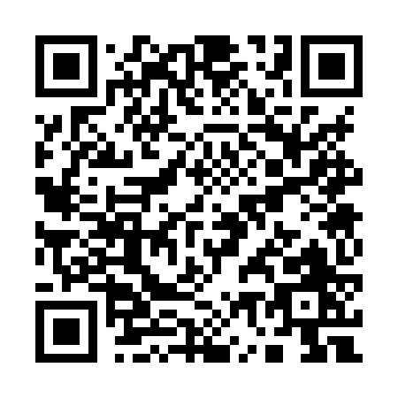 QR code for Q738Z