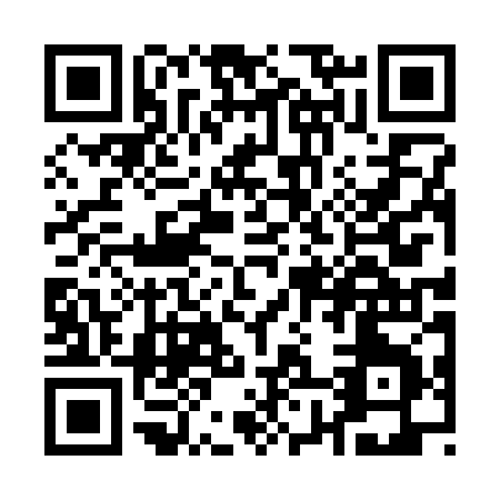 QR code for Q803Z