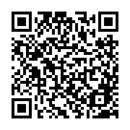 QR code for Q81 2TB