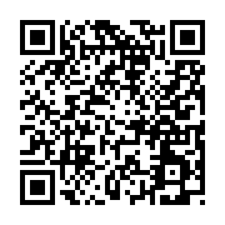 QR code for Q819P