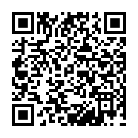 QR code for Q856P