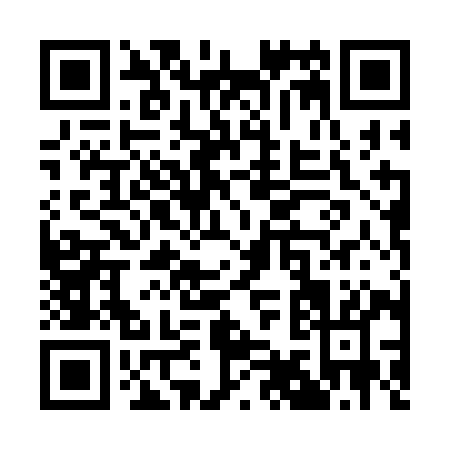 QR code for Q903I