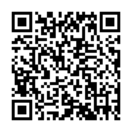 QR code for Q905Z