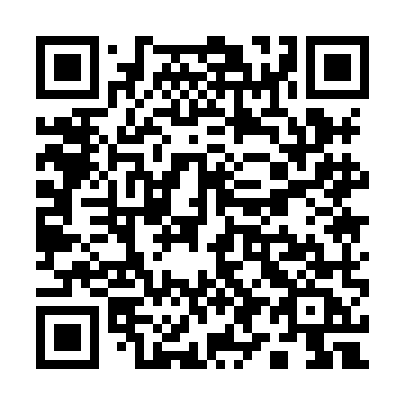 QR code for Q91 8MC