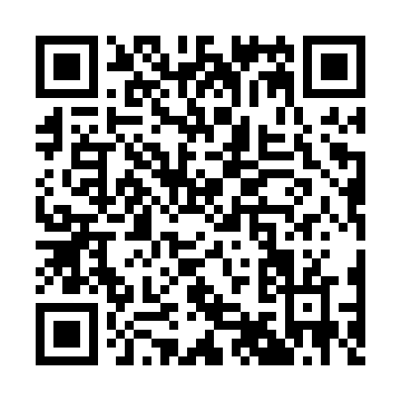 QR code for Q910V
