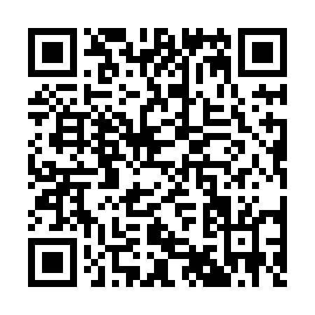 QR code for Q918E