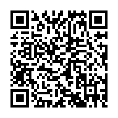 QR code for Q919H