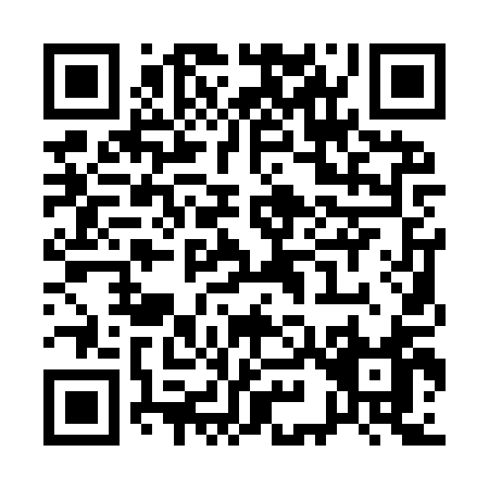 QR code for Q919Q