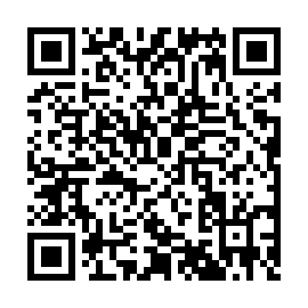 QR code for Q925U