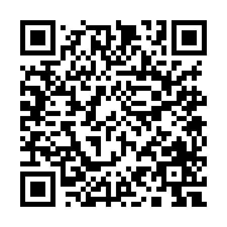 QR code for Q938H