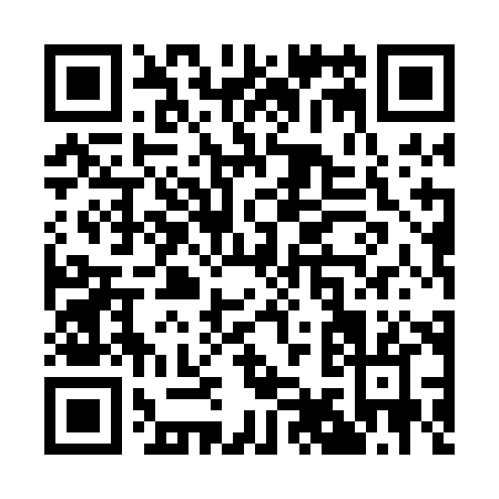 QR code for Q950H