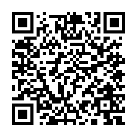 QR code for Q954G