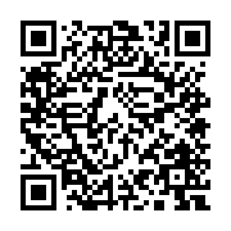 QR code for Q955U