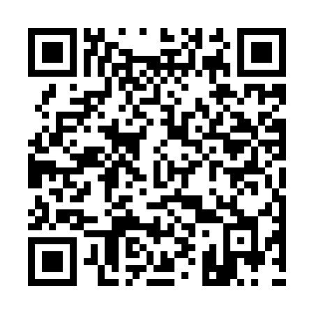 QR code for plate Q95 9UH