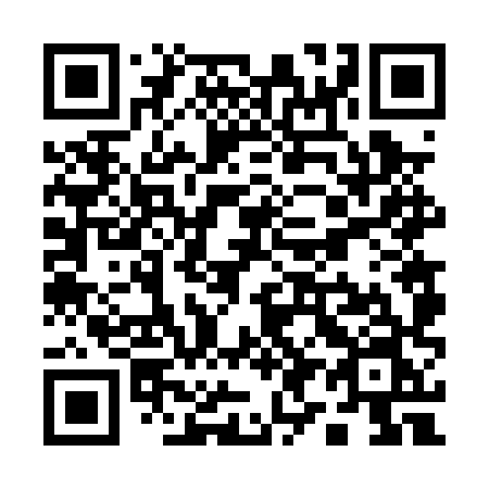 QR code for plate Q96 0XN