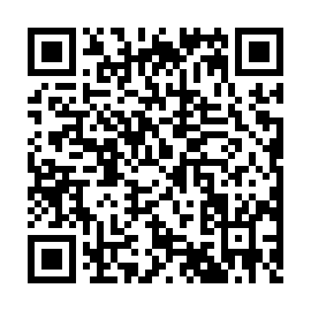 QR code for Q961Y