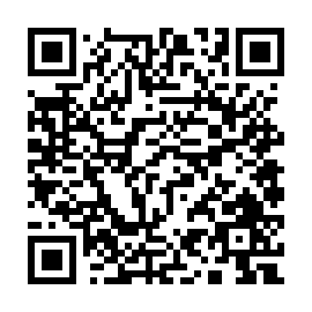 QR code for Q965V
