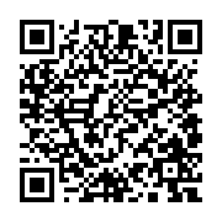 QR code for Q965Z