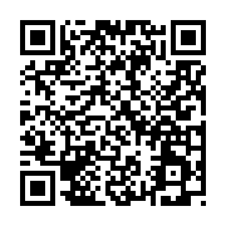 QR code for Q966N