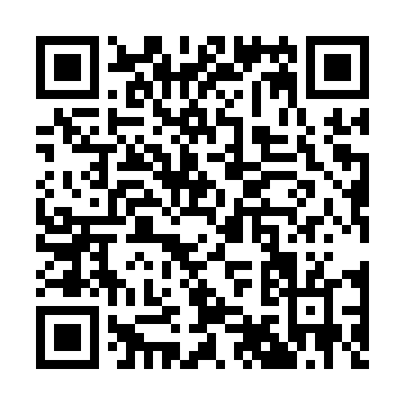QR code for Q991T