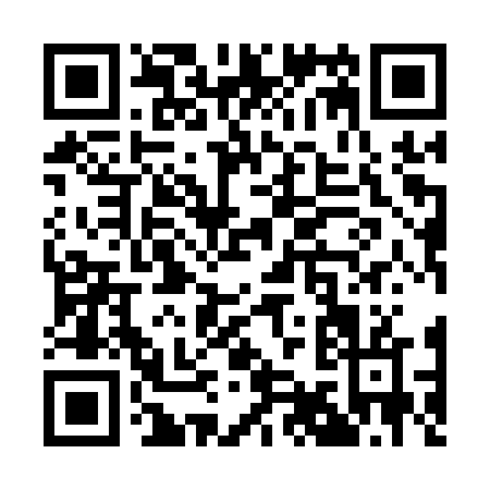 QR code for Q991V