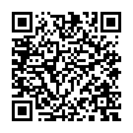 QR code for Q992G
