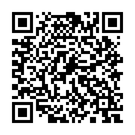 QR code for Q992ZZ