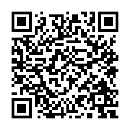 QR code for Q999R