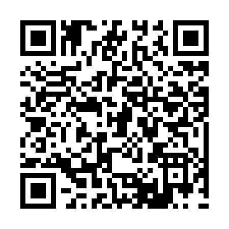 QR code for R029P
