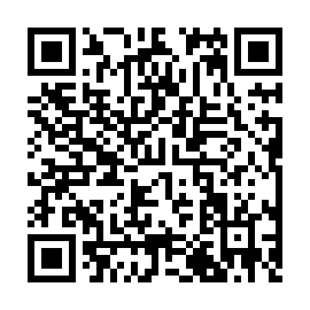 QR code for R038L