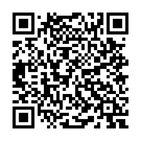 QR code for plate R11 0ZH