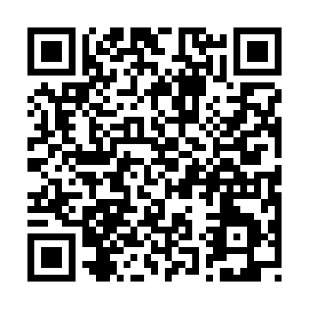 QR code for R113I