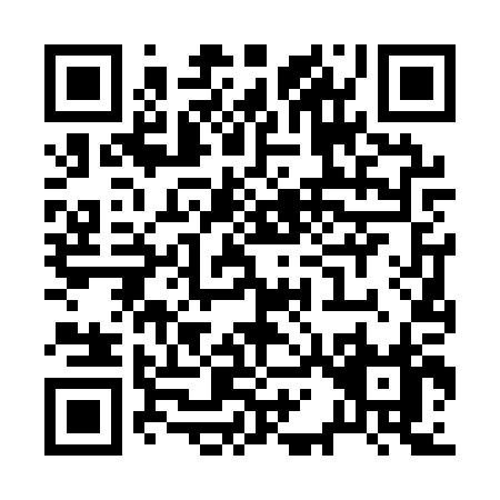 QR code for R161P