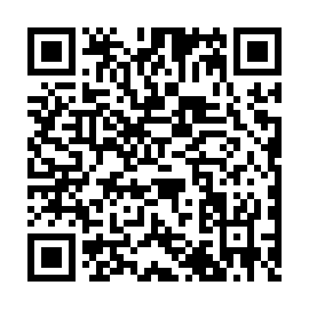 QR code for R161S
