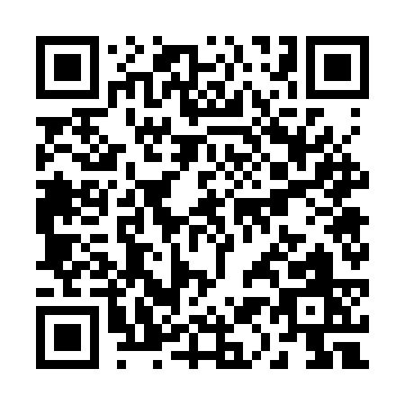 QR code for R173S