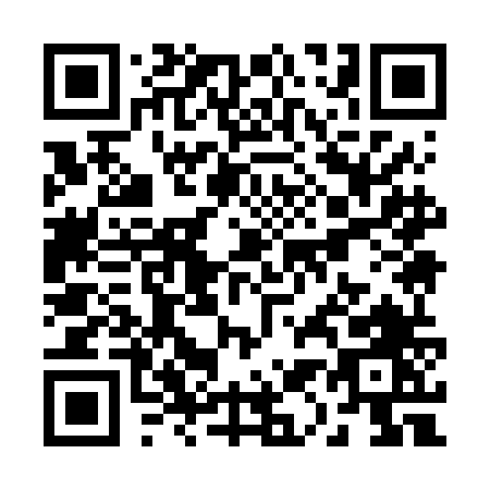 QR code for R196N