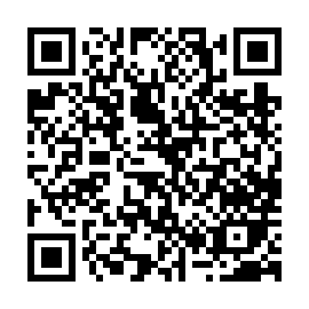 QR code for R206H