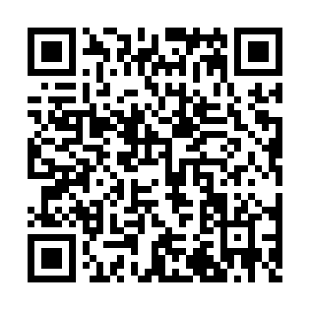 QR code for R211P