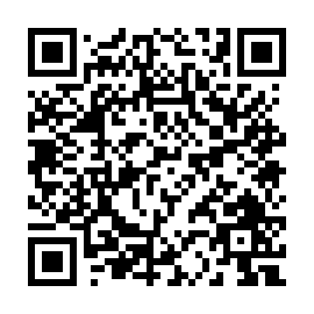 QR code for R216V
