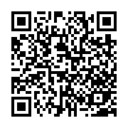 QR code for R216Z