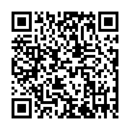 QR code for R220G