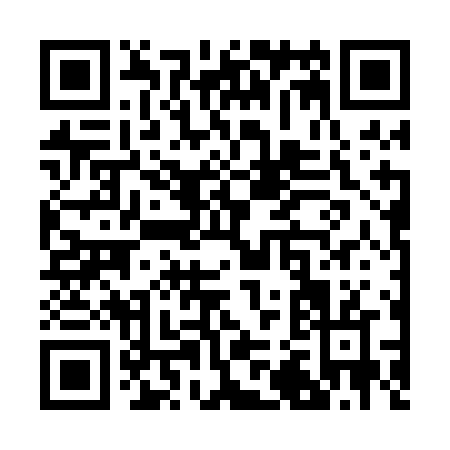 QR code for R220N