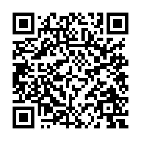QR code for R228B