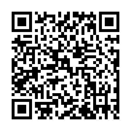 QR code for R228C
