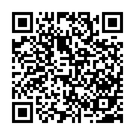 QR code for R228Q