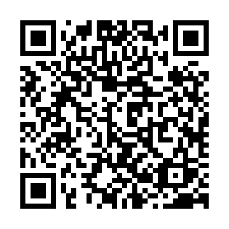 QR code for R228SS