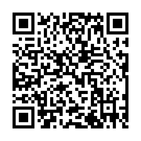 QR code for R233B
