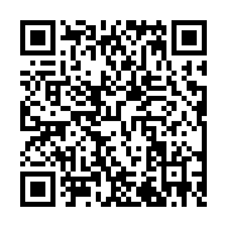 QR code for R233P
